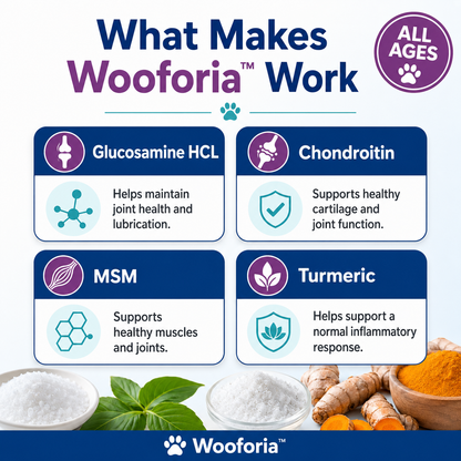 Wooforia™ Senior Advanced Hip & Joint Bites for Dogs